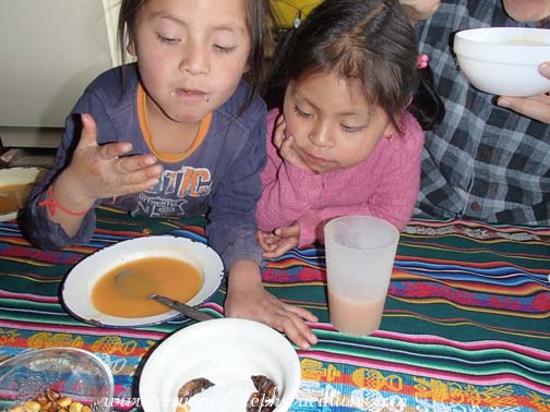 Tayanta watches Yupanqui eat a catso Tayanta watches Yupanqui eat a catso