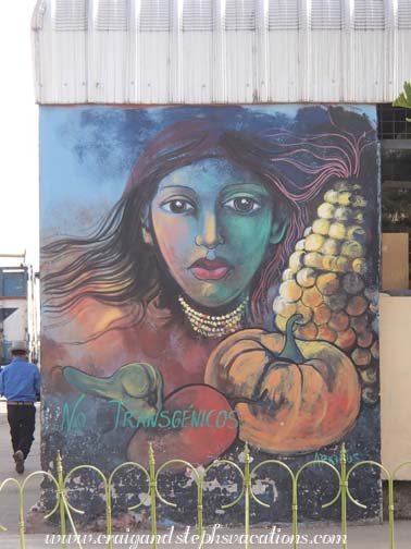 Street art protesting GMO's Street art protesting GMO's