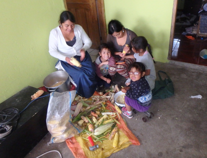 Removing corn kernels from the cob