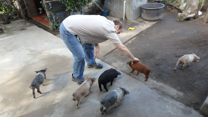Craig and the piglets