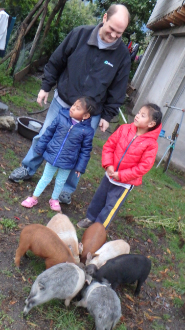 Feeding the seven piglets