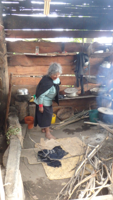 Elusive sunlight filters through Abuelita's outdoor kitchen