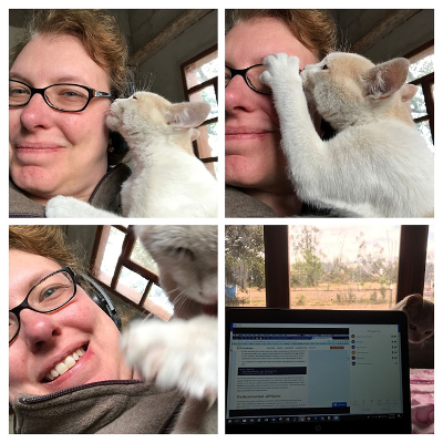 My new work assistant: El Senor Chipikins
