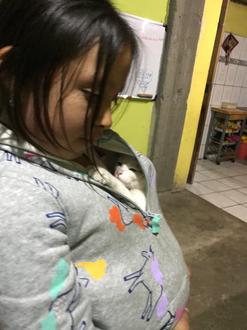 El Senor Chipikins takes a nap in Sisa's unicorn sweatshirt