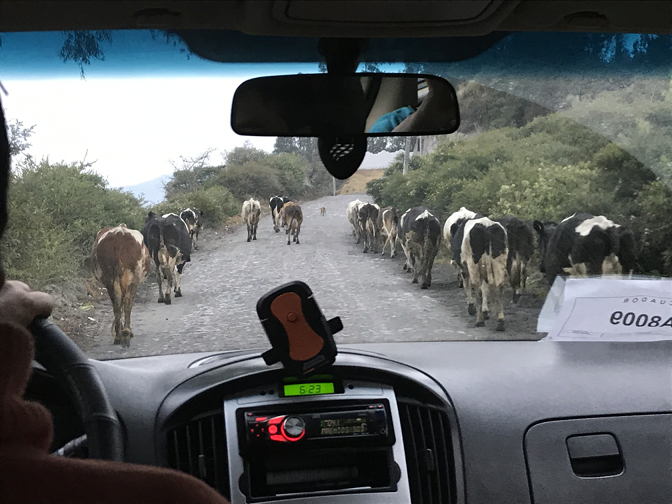 Some traffic en route to the airport