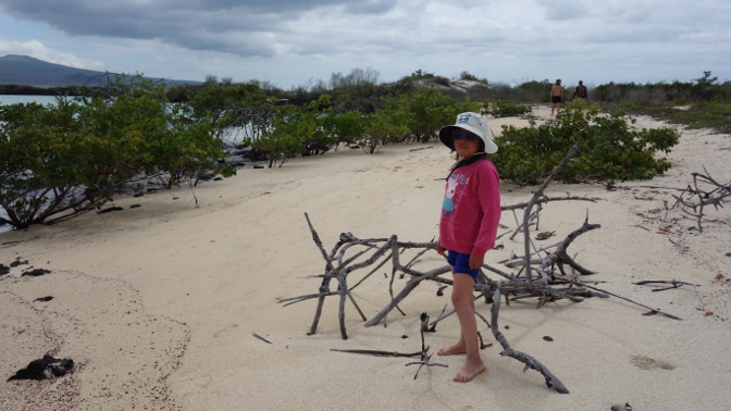 Sisa at Puerto Grande