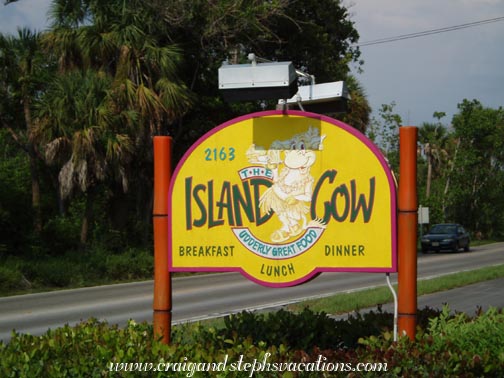 Island Cow
