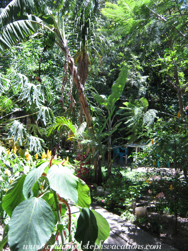 Jardin de Americas Jardin de Americas