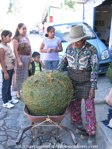 Buying a sack of pine needles