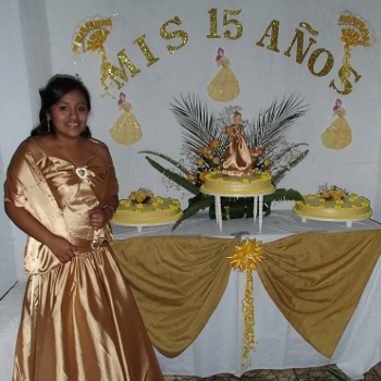 Paola's Quinceañera 1/2/2014 - 1/7/2014 