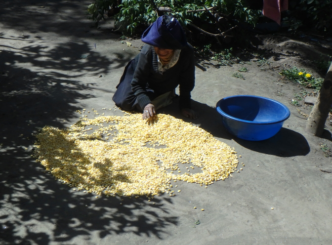 Abuelita drying corn in the sun
