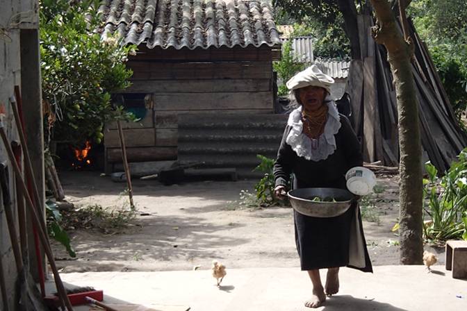 Abuelita is followed by her chick