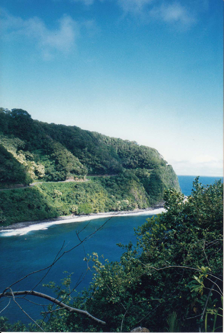 The Road to Hana The Road to Hana