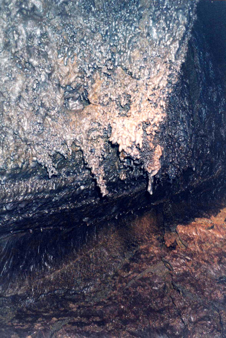 Batryoids, Hana Cave Tour Batryoids, Hana Cave Tour