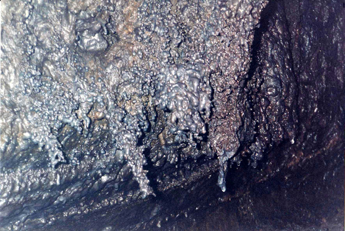 Batryoids, Hana Cave Tour