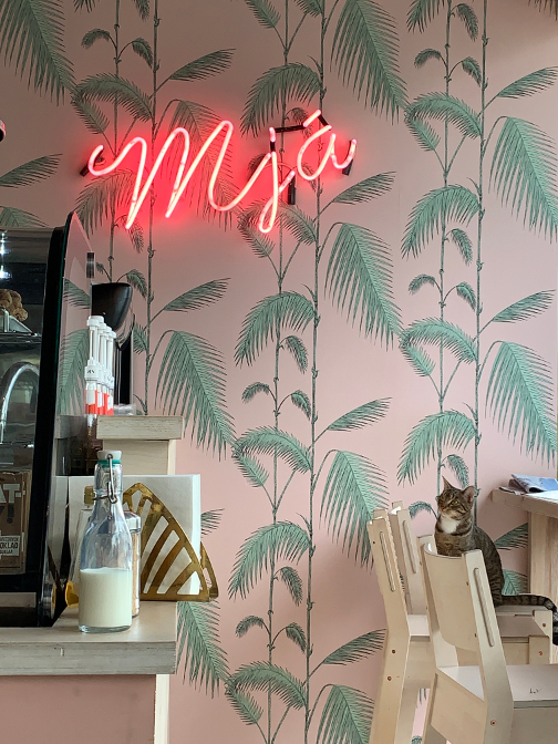 Kattakaffih&uacute;si&eth (Cat Cafe)