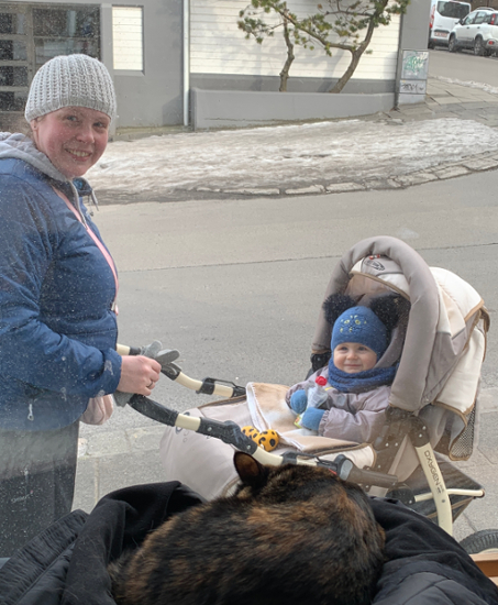 Kattakaffih&uacute;si&eth (Cat Cafe)