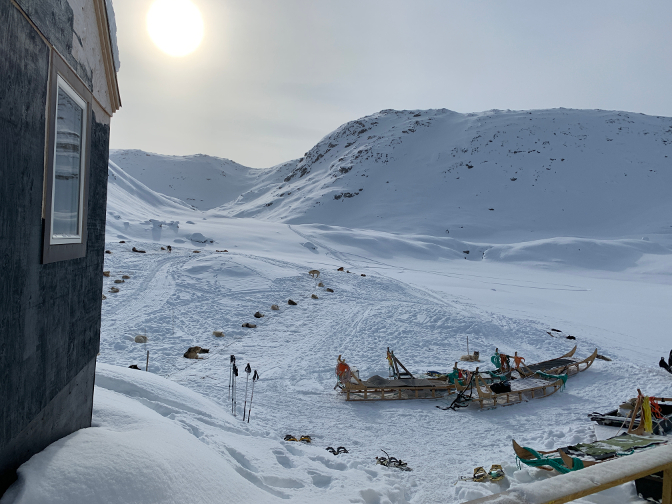 The dogs resting at Ice Camp