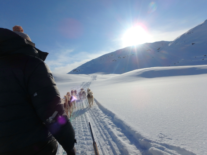Dogsledding from Ice Camp to Tinit