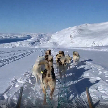 East Greenland 3/11/2020 - 3/18/2020