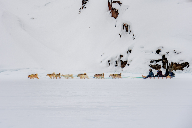 Harald, Steph, & Craig on our dogsled
Photo courtesy of Roger Eggenberger