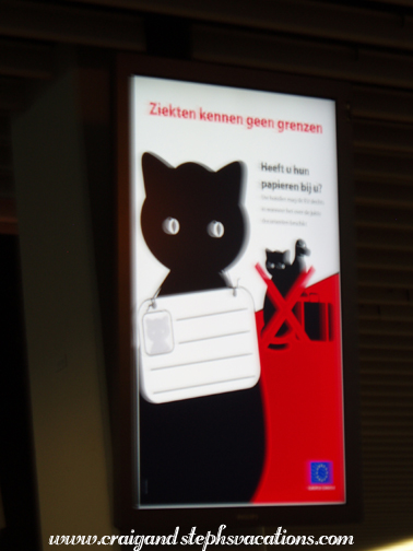 Your cat must have a nametag