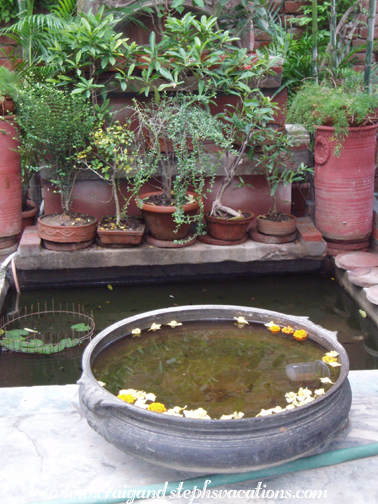 Mukul's ponds