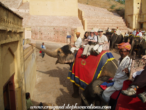 Riding elephant #121, Amber Palace