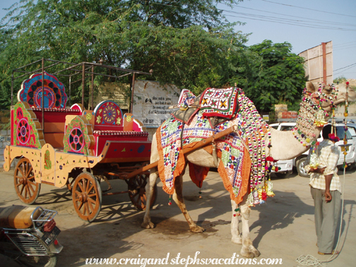 Camel cart