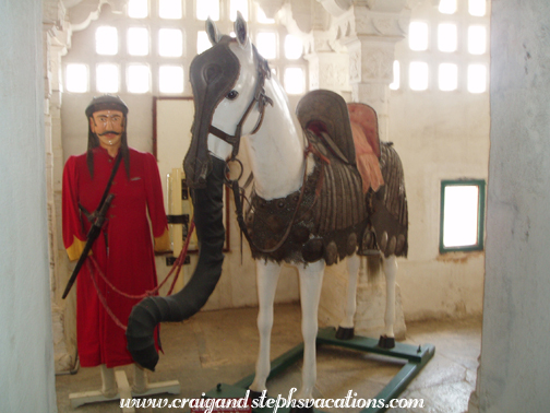 Chetak's Elephant Costume