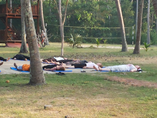 Savasana (photo courtesy of Mukul) Savasana (photo courtesy of Mukul)