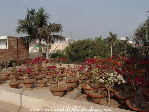 Mukul's roof deck Mukul's roof deck