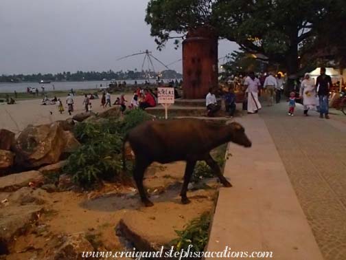 Mahatma Gandhi Beach, Fort Kochi Mahatma Gandhi Beach, Fort Kochi
