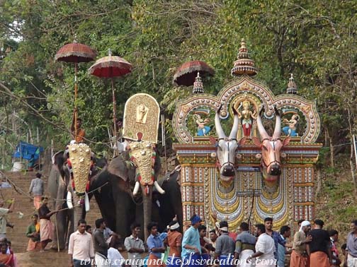 Buffalo effigies and elephants