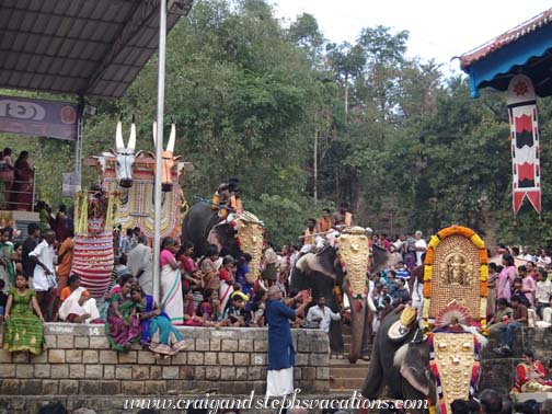 A procession of elephants descends the stairs A procession of elephants descends the stairs