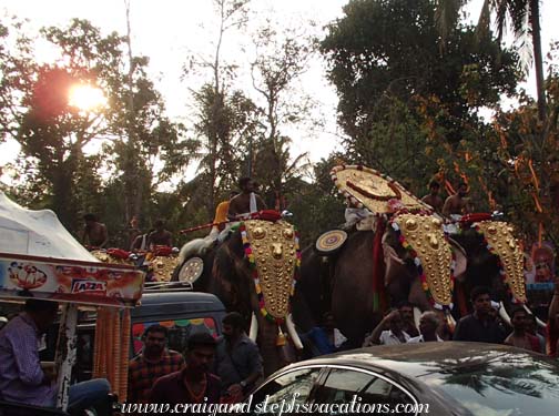 Elephant procession
