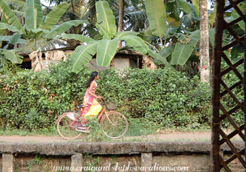 Young woman on a bicycle Young woman on a bicycle