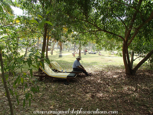 Lounge chairs in the shade, Marari Beach Resort Lounge chairs in the shade, Marari Beach Resort