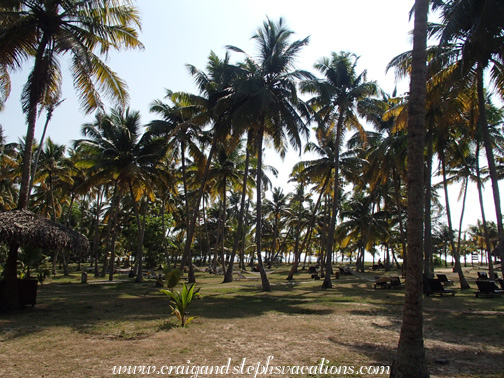 Marari Beach Resort Marari Beach Resort