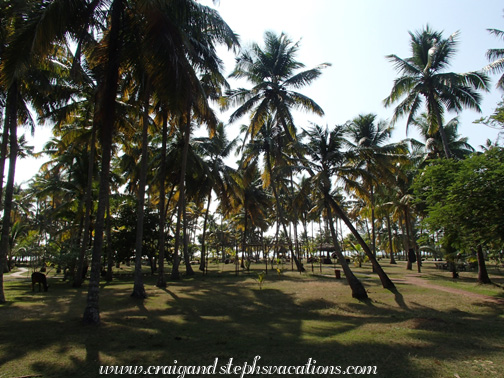 Marari Beach Resort Marari Beach Resort