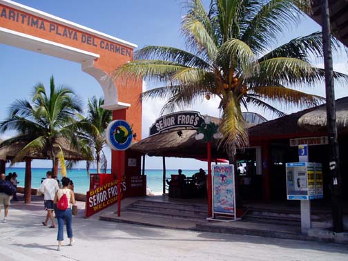 Señor Frog's near the Cozumel Ferry Dock, 5th Avenue, Playa del Carmen Señor Frog's near the Cozumel Ferry Dock, 5th Avenue, Playa del Carmen