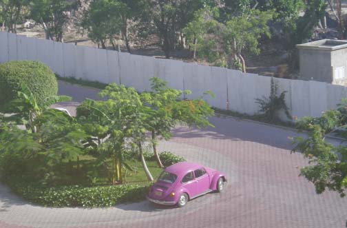 Volkswagen beetle, a common sight in Mexico Volkswagen beetle, a common sight in Mexico
