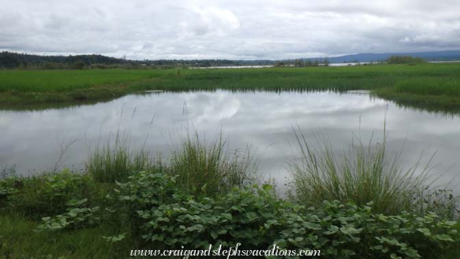 Floodplains approaching Kyi Taung Village
