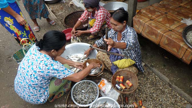 These fish weigh 6 D batteries These fish weigh 6 D batteries