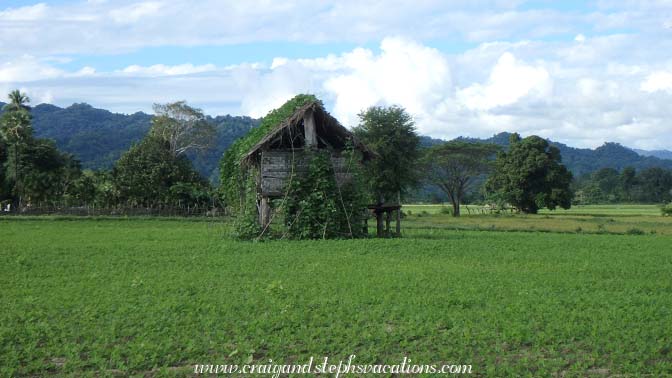 Crops, Shwe Lat Pan Village Crops, Shwe Lat Pan Village