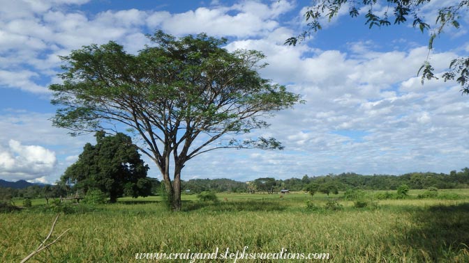 Riverside flood plains, Shwe Lat Pan Riverside flood plains, Shwe Lat Pan