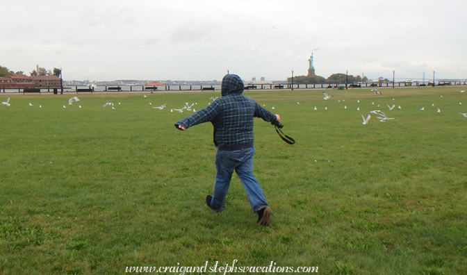 Jared chases the birds Jared chases the birds