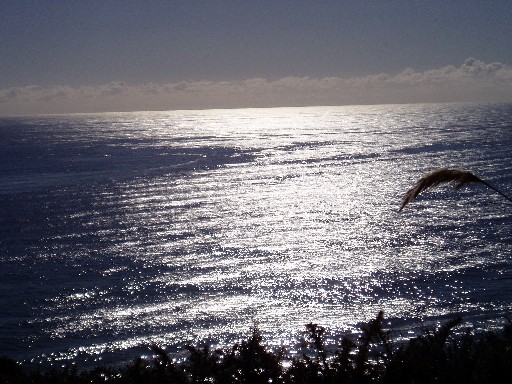 Vast ocean Vast ocean