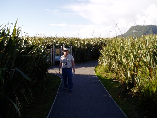 Craig amongst the flax at Punakaiki Craig amongst the flax at Punakaiki