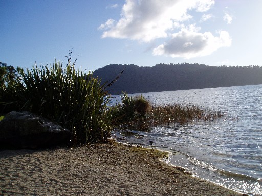 Lake Ianthe en route to Franz Josef Glacier